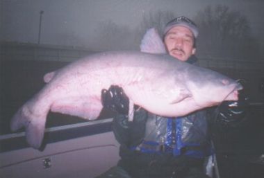 Dale 's big blue cat