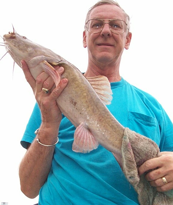 6.2 pound Flathead cat